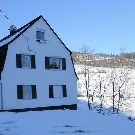 Haus Elpe Naehe Meschede Winterberg Villa Olsberg Exterior photo